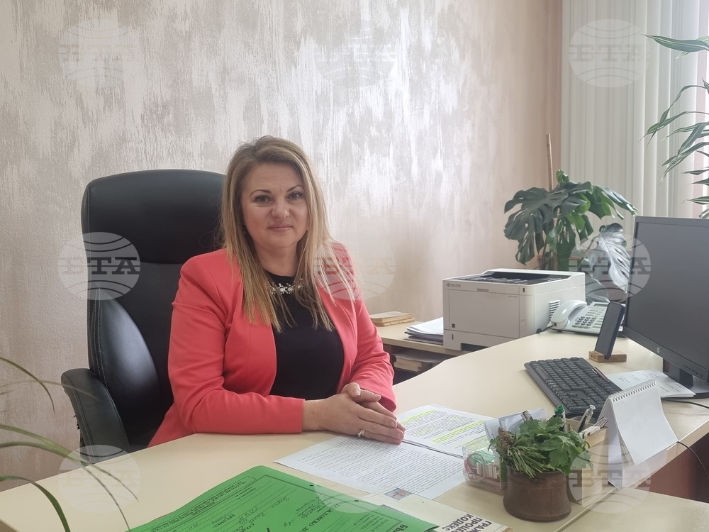 От Районния съд в Плевен отчитат ръст в делата по Закона за защита от домашно насилие 