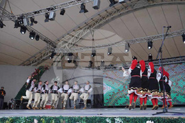 Румъния - Ден на етническите малцинства от Тимишоара