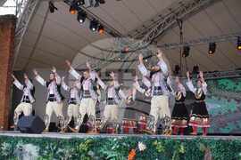 Румъния - Ден на етническите малцинства от Тимишоара