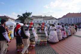 Румъния - Ден на етническите малцинства от Тимишоара