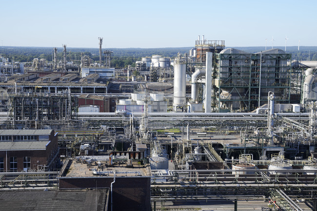 Планираното от ЕС освобождаване на американски стоки от вносни мита е "шамар в лицето", обяви асоциация на германската промишленост