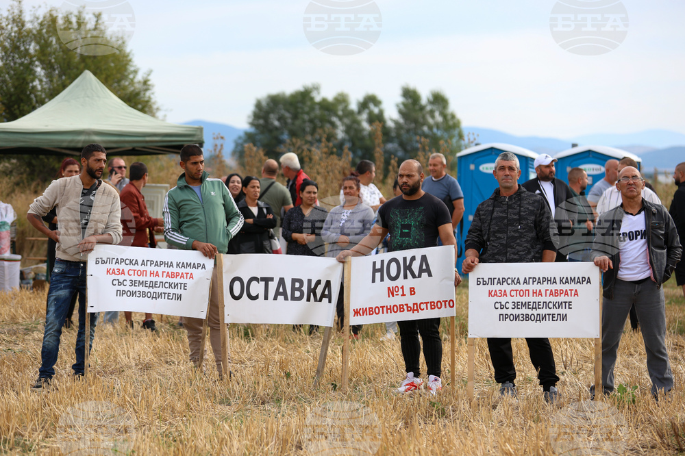 Протест - зърнопроизводители