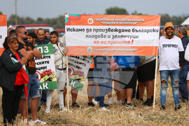 Протест - зърнопроизводители