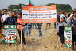 Протест - зърнопроизводители