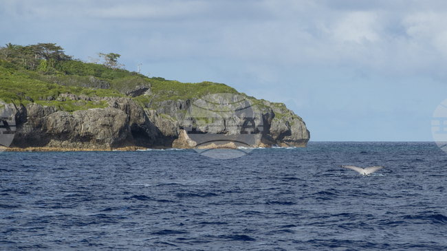Япония започва добив на редкоземни метали в Тихия океан в опит да намали зависимостта си от Китай