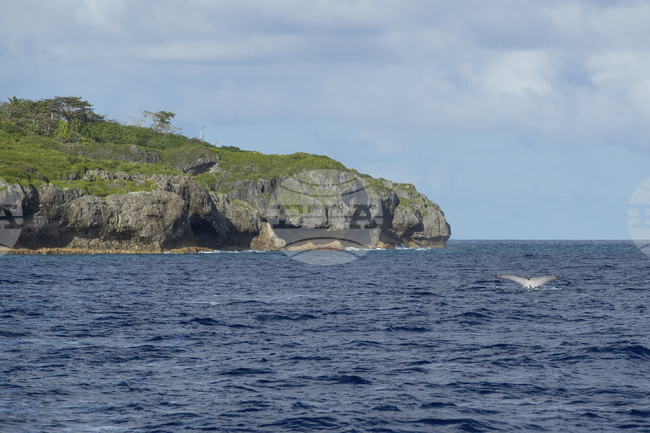 Япония започва добив на редкоземни метали в Тихия океан в опит да намали зависимостта си от Китай
