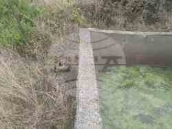 Снимка: Югозападно държавно предприятие ДП Благоевград