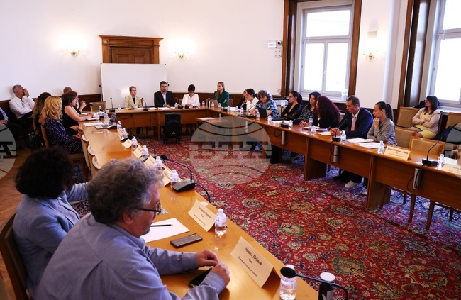 Народно събрание - Комисия по културата и медиите - дискусия