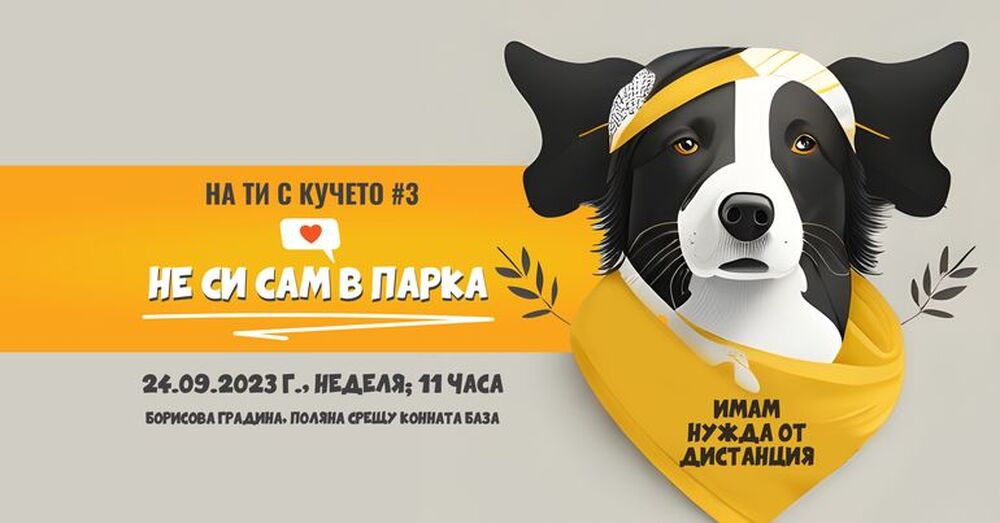 Едно събитие за хората и кучетата и район Средец