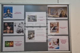 Ловеч - проект срещу насилието - изложба