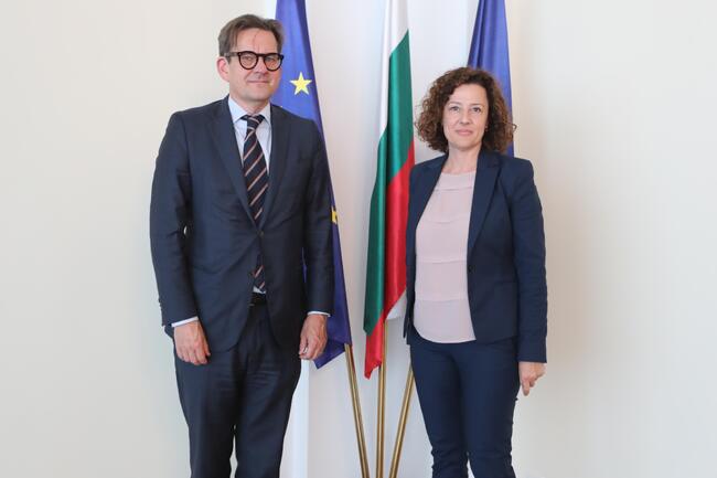 МВнР: Заместник-министър Ирена Димитрова прие директора на Регионалния офис на Международната организация по миграция Ола Хенриксон