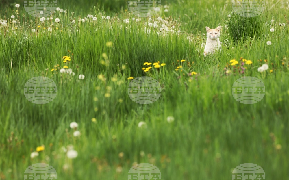 The Weather on May 3