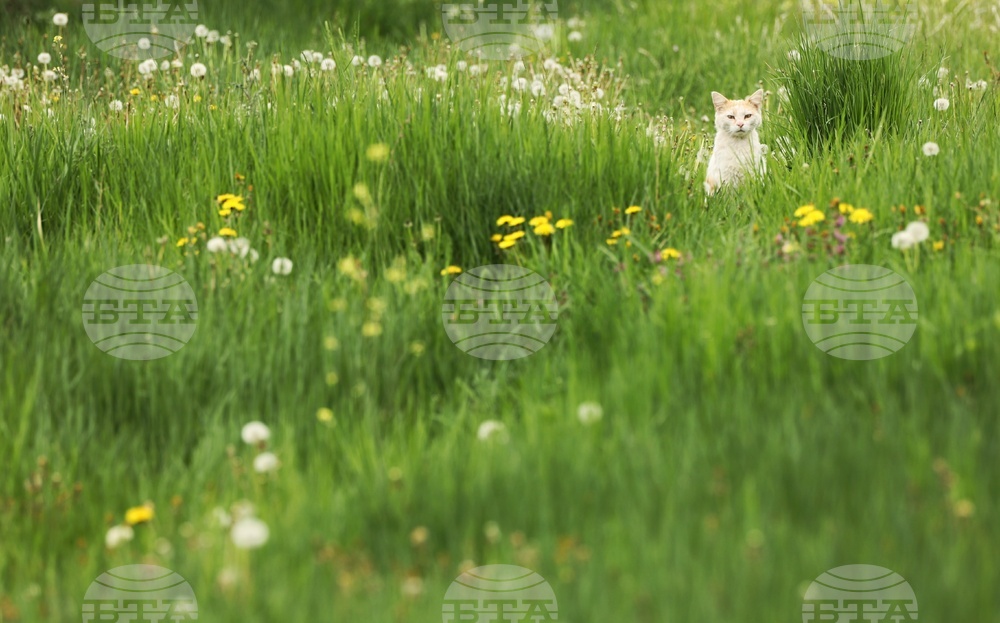 Кюстендил - пролет