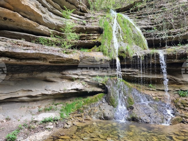 В ход е кампанията по третирането срещу кърлежи и комари на територията на община Попово