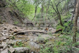 Село Иванча - водопад - природна забележителност