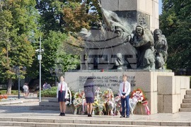 Видин - 115 години от провъзгласяването на Независимостта на България - честване