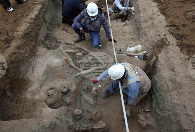 Археолози в Грузия откриха човешка челюст на 1,8 милиона години