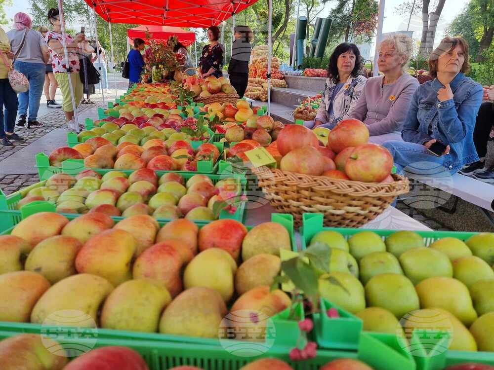 Wholesale Prices of Fruits and Vegetables Up in Late February
