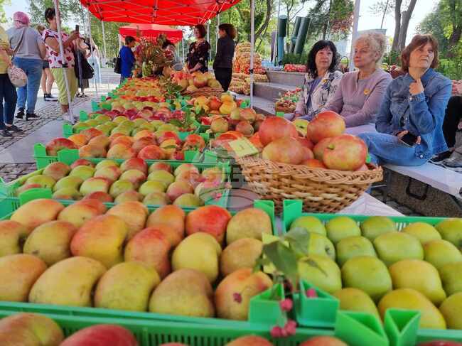 Wholesale Prices of Fruits and Vegetables Up in Late February