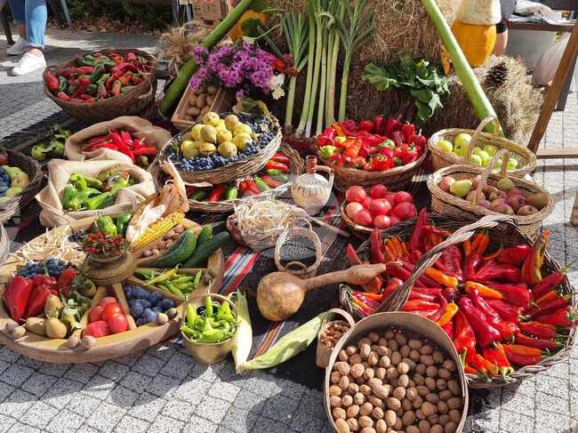 Кюстендил - "Празник на плодородието"