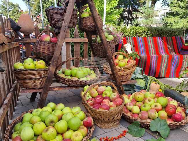 В Кюстендил започва традиционният Празник на плодородието