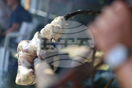 Калофер - Национален събор - “Да запазим заедно българското”