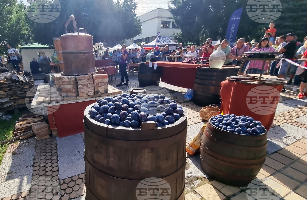 "Дни на отворените бутилки" ще се проведат във Винпром - Троян от 21 до 23 септември