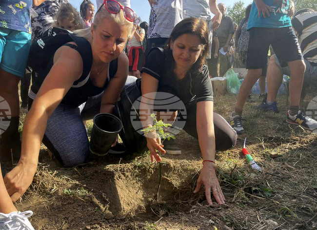 Село Бузовград - “Гората на Ванко” - дръвчета - засаждане