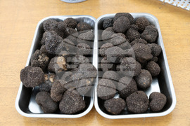 Угърчин - Трюфел фест 2023