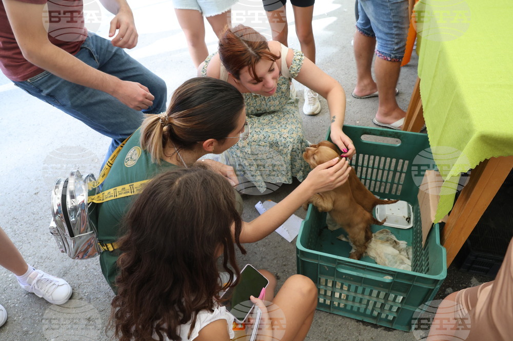 Угърчин - Трюфел фест 2023