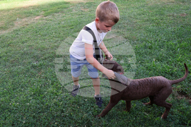 Угърчин - Трюфел фест 2023