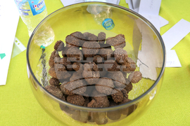 Угърчин - Трюфел фест 2023