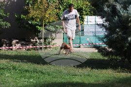 Угърчин - Трюфел фест 2023