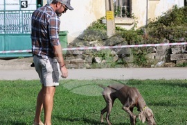 Угърчин - Трюфел фест 2023