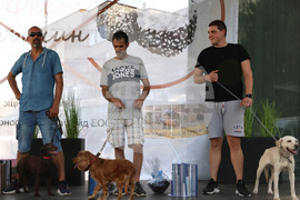 Угърчин - Трюфел фест 2023