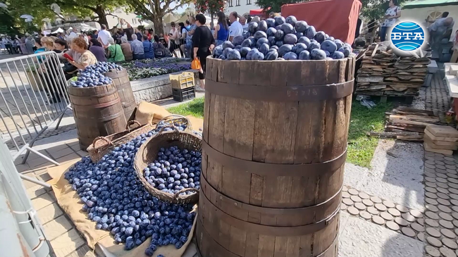 Тридесетото юбилейно издание на Българския фестивал на сливата привлича гости от цялата страна