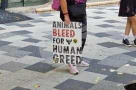 Румъния - Марш за правата на животните