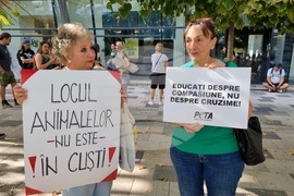 Румъния - Марш за правата на животните