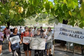 Румъния - Марш за правата на животните