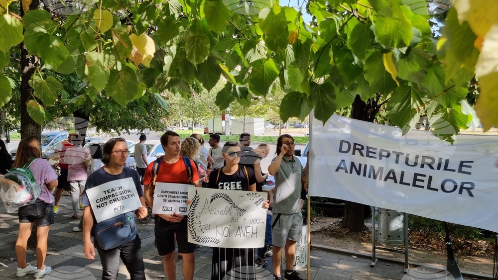 Румъния - Марш за правата на животните