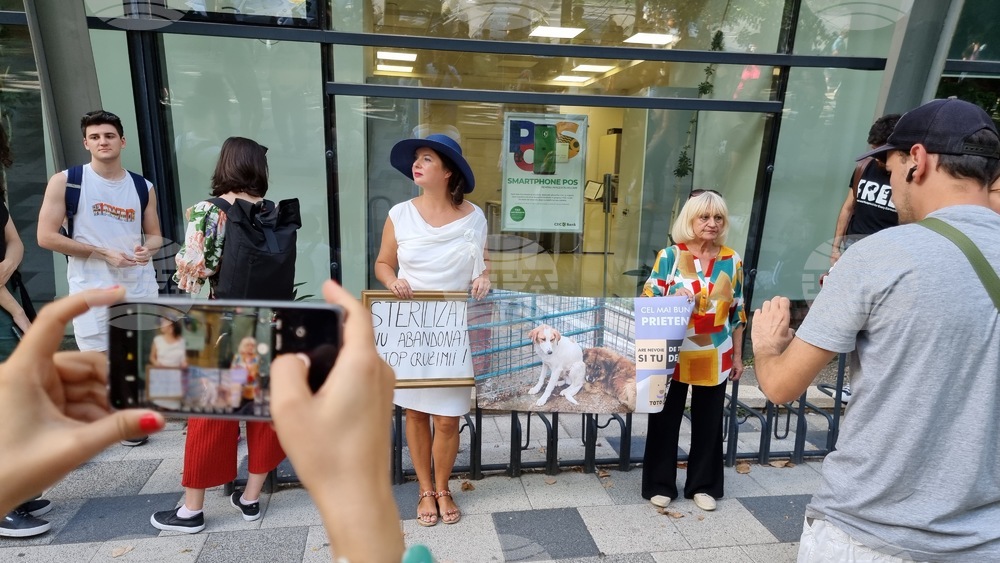 Румъния - Марш за правата на животните
