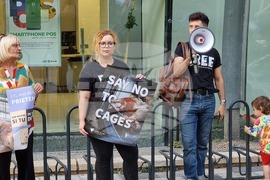 Марш за правата на животните