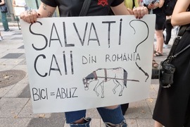 Румъния - Марш за правата на животните