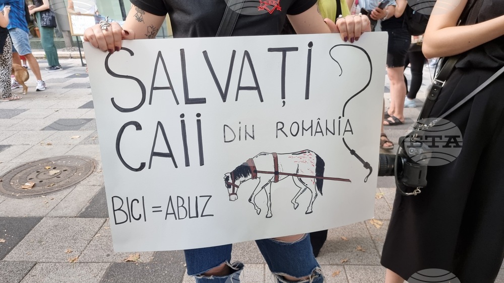 Румъния - Марш за правата на животните