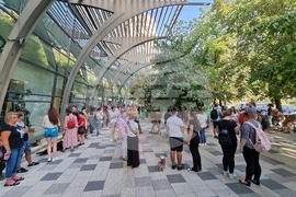 Румъния - Марш за правата на животните