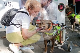 Румъния - Марш за правата на животните