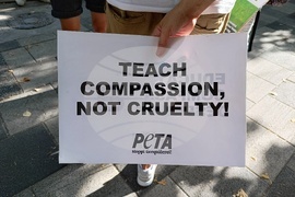 Румъния - Марш за правата на животните