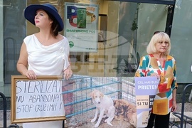 Румъния - Марш за правата на животните