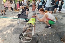 Румъния - Марш за правата на животните