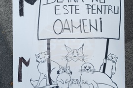 Румъния - Марш за правата на животните